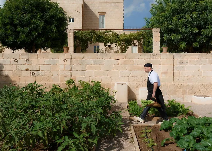 Masseria Lilei